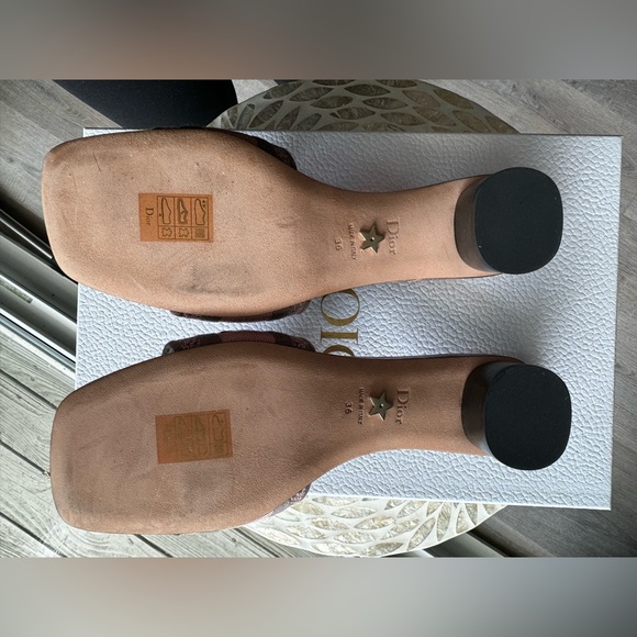 Dway Heeled Slide Dior Sandal - Picture 2 of 16